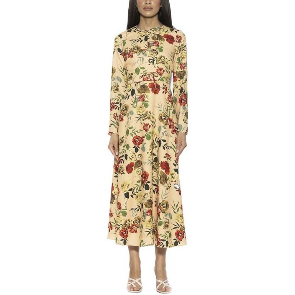 Alexia Admor Womens  Ophelia A-Line Dress, Brown